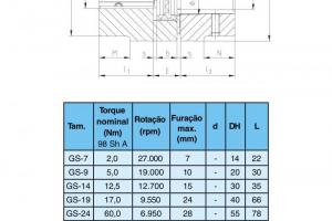Acoplamentos de Precisão Rotex GS Acoplamentos de Precisão Rotex GS